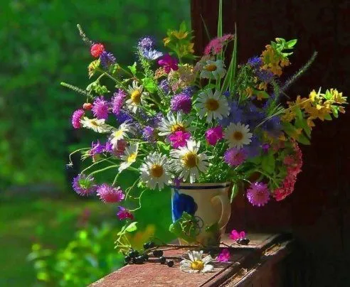 image.webp