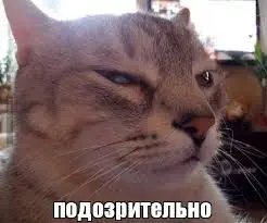 images (1) (15).webp