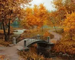 images (1).webp