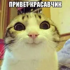 images (1).webp