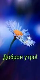 images (10).webp