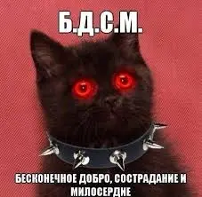 images (11).webp