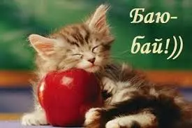 images (11).webp