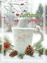 images (11).jpeg