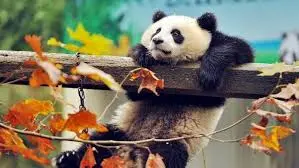 images (13).webp