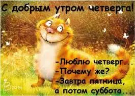 images (13).webp