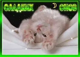 images (14).webp