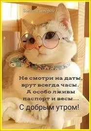 images (15).webp