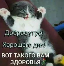images (16).webp