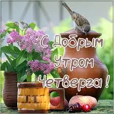 images (16).webp