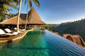 images (17).webp