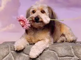 images (17).webp