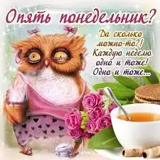 images (17).webp