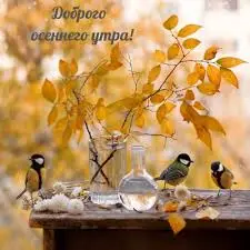 images (17).webp