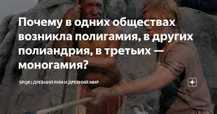images (17).webp