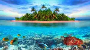 images (18).webp