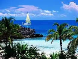 images (19).webp