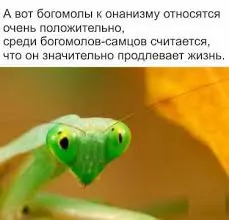 images (19).webp