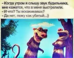 images (19).webp