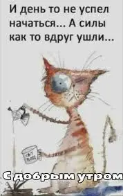 images (2).webp