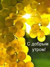 images (2).webp