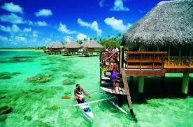 images (20).webp