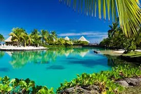 images (21).webp