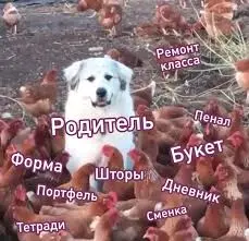 images (22).jpeg