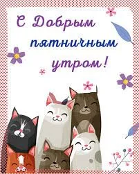 images (22).webp