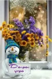 images (22).webp