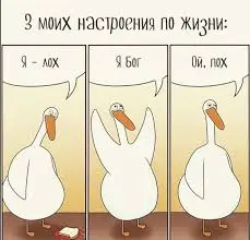 images (22).webp