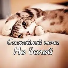images (23).webp