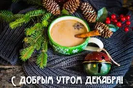 images (27).webp