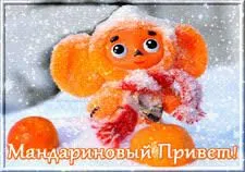 images (30).webp
