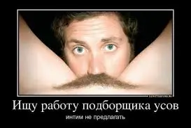 images (31).webp