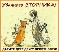 images (35).webp