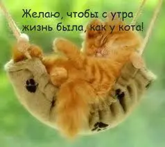 images (37).webp