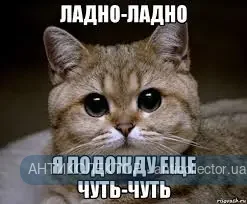 images (38).webp