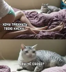 images (444444455554).webp