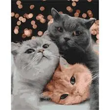images (5).webp