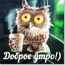 images (5).webp