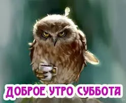 images (6).webp