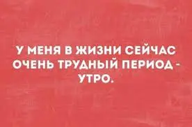 images (60).webp