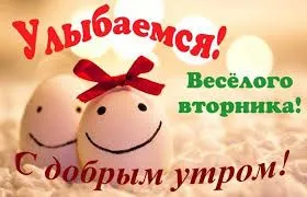 images (7).webp