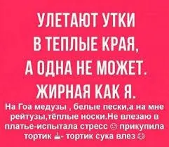 images (7).webp