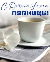 images (7).webp