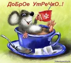 images (7).webp