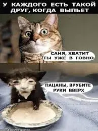 images (8).webp