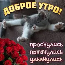 images (8).webp