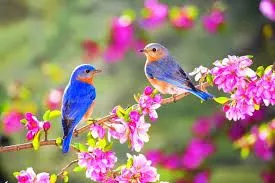 images.webp